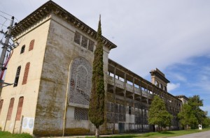 colonia 11