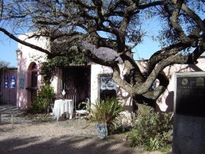 colonia 17