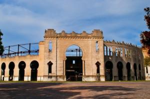 colonia 7