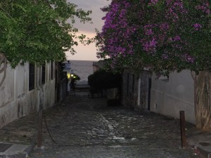 DSC00080