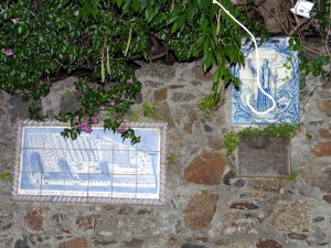 DSC00088
