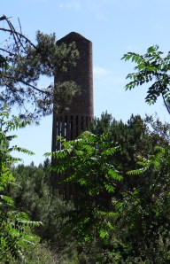 DSC00242_2