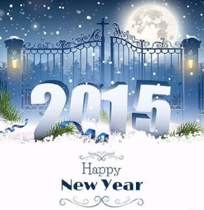 2015 3