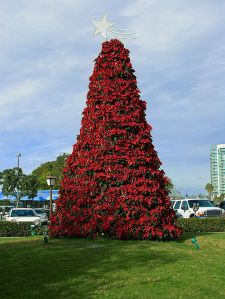 christmas 20