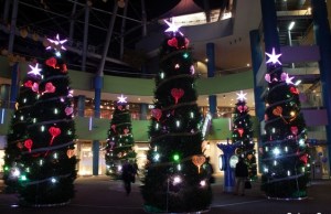 christmas 27
