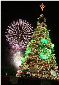 christmas 29