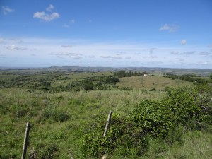DSC00253