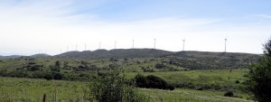 DSC00257_2