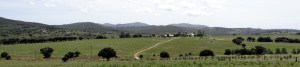 DSC00269_2