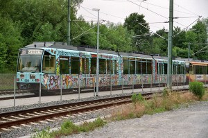 rizzi 6