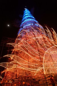 tree 1