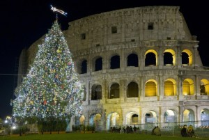 tree 11