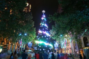 tree 12