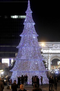 tree 13