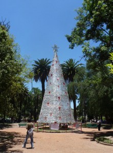 tree 15