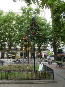 tree 16