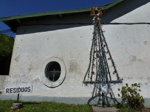 tree 18