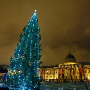 tree 2
