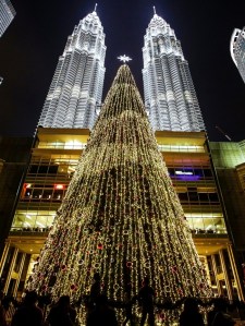tree 4