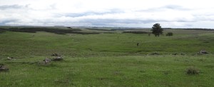 DSC00164