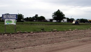 DSC00167