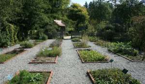 Kraeutergarten 1