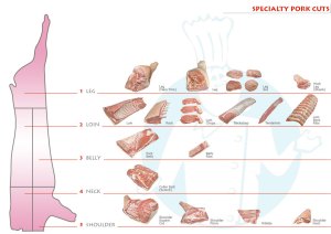 meat chart 4