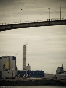 pulp mill 1