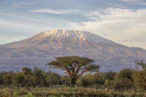 tanzania 1