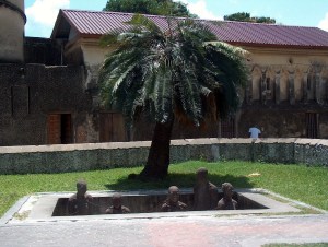 tanzania 6