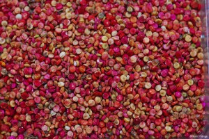 quinoa hist 3