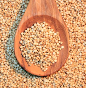 quinoa hist 8 puffs