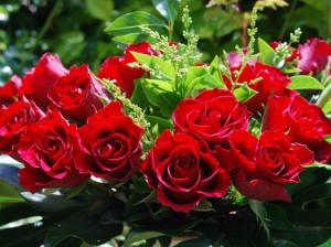 valentin 10
