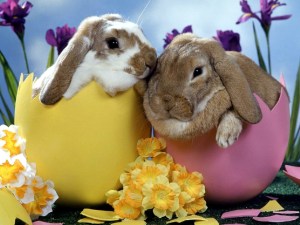 easter 4