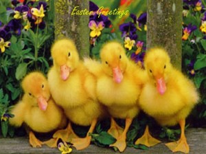easter 7
