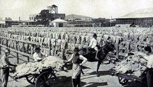 Liebig 100a