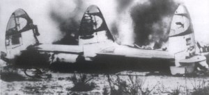 Susana 40