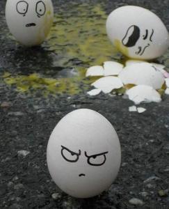 egg 11