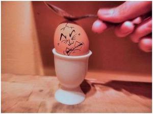 egg 3