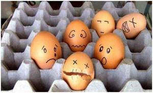 egg 4