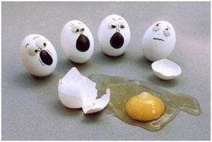 egg 5