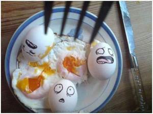 egg 6