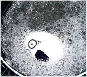 egg 7