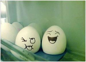 egg 9