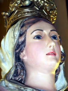 La Floresta 16 (1)