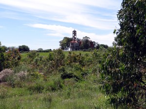 La Floresta 2