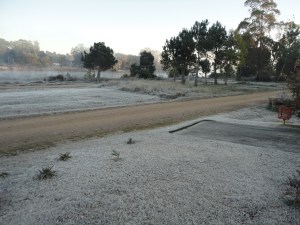 DSC01840