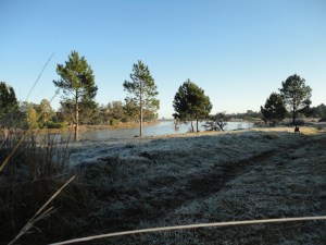 DSC01845