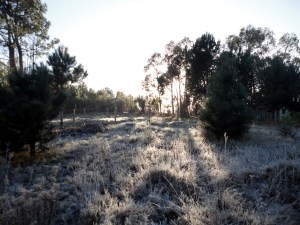 DSC01847
