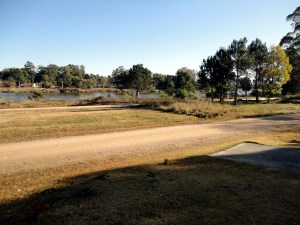 DSC01850